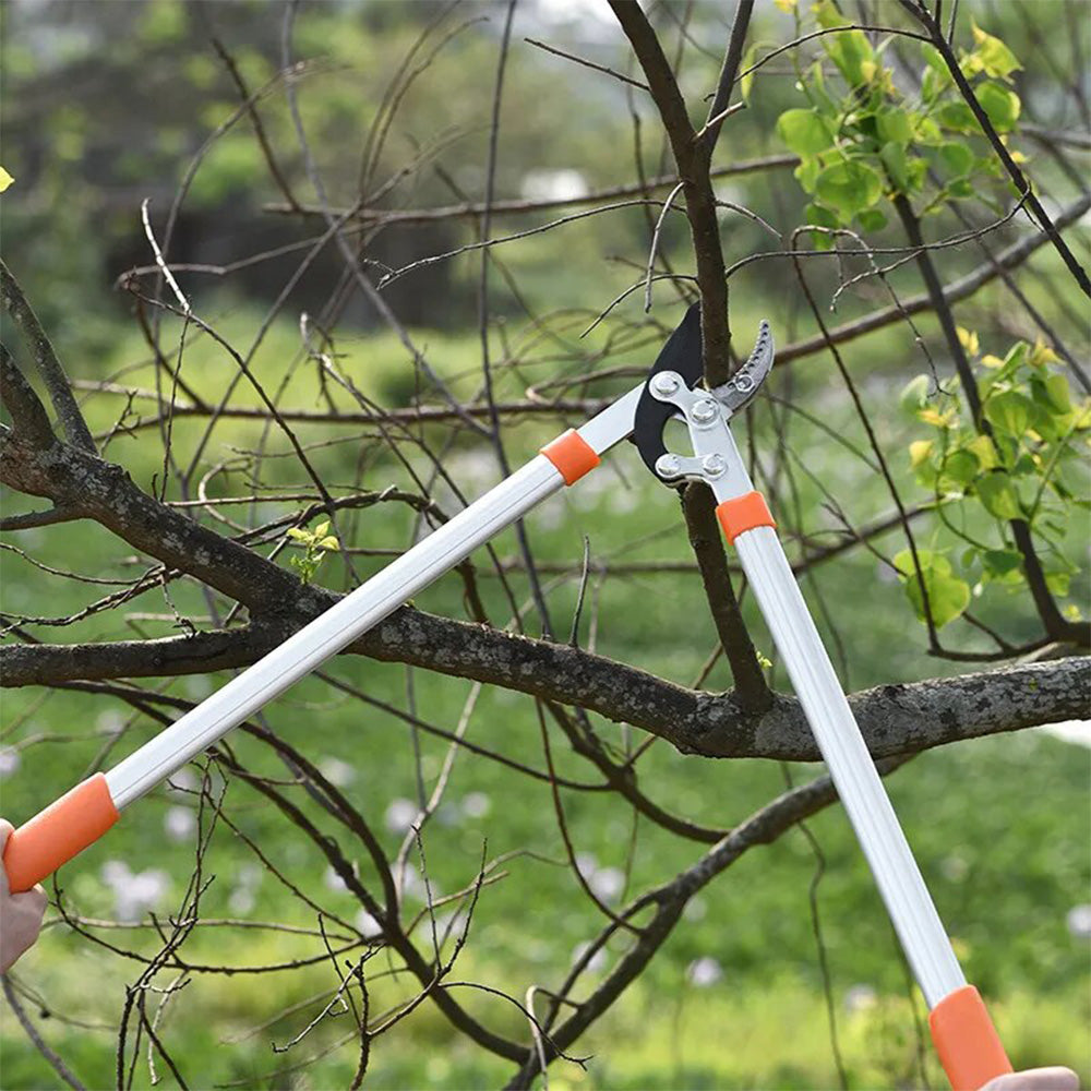 Tree trimming shears hotsell