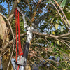 4m 6m 10m Telescopic Scissors Pruning Branch Height Saw Garden Tools